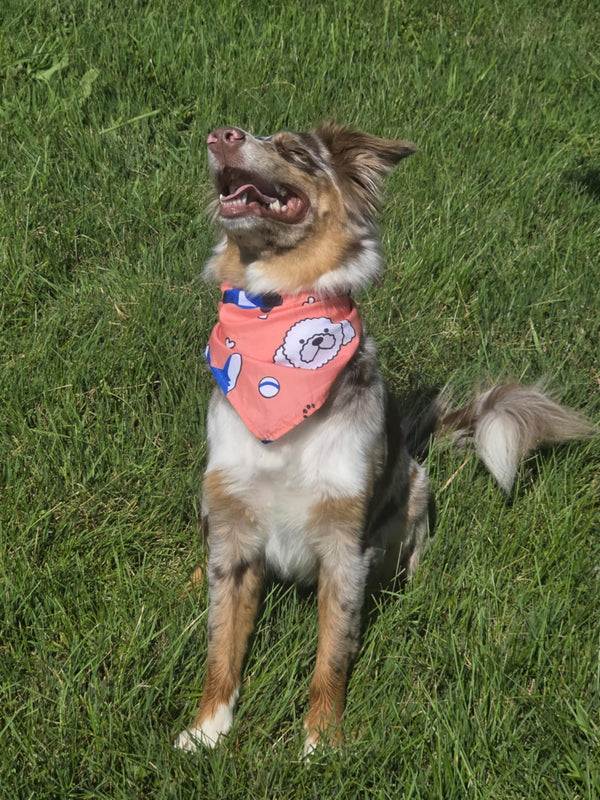 Poodle Daze - Pawsitively Stylish πΎ