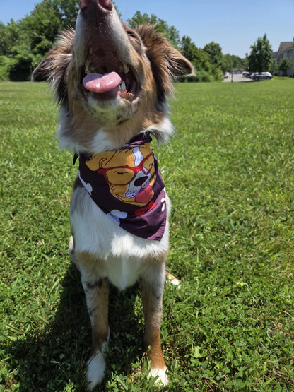 Good Boy Club - Pawsitively Stylish 🐾