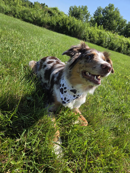 🐾 Dog Bandana – Cowgirl Cutie | Pawsitively Stylish