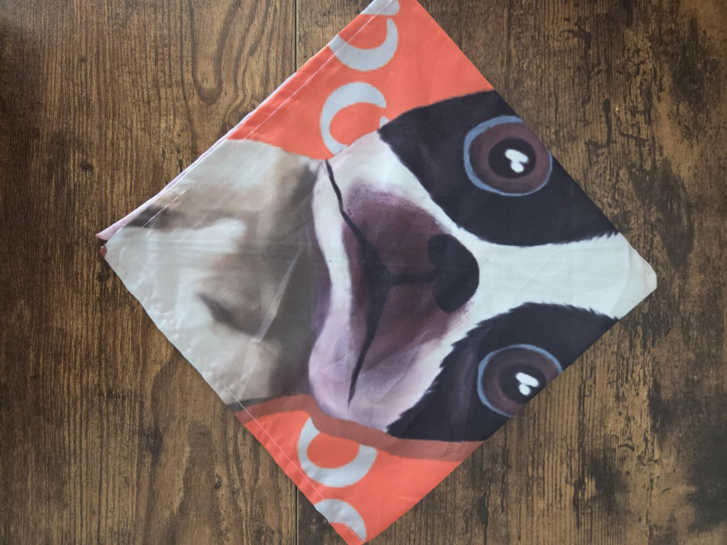 The Boston Look - Pawsitively Stylish 🐾