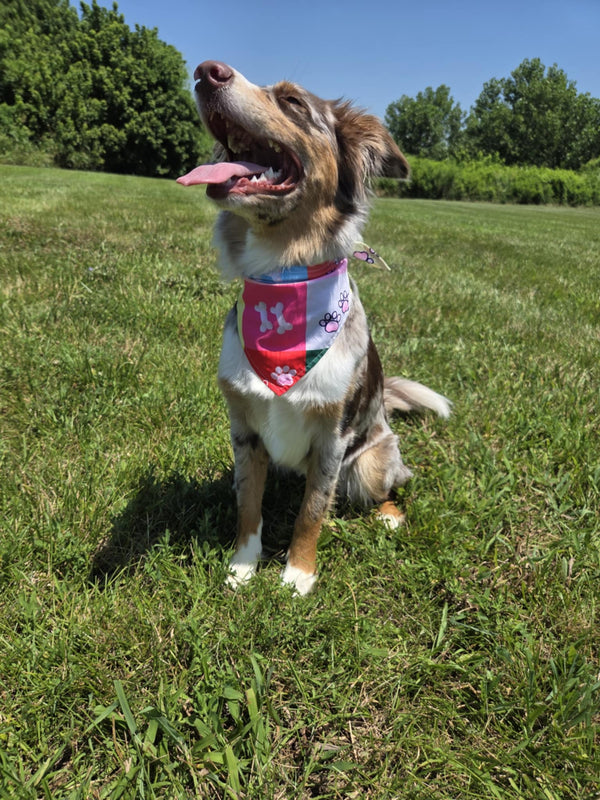 Patchwork Pup - Pawsitively Stylish 🐾