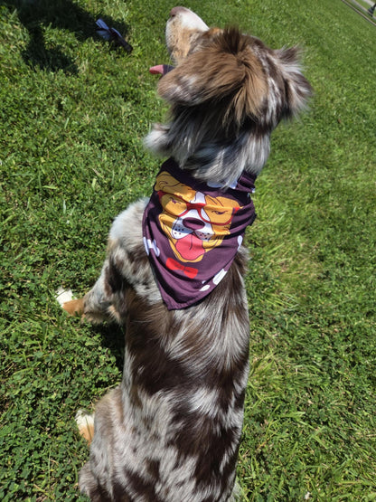 Good Boy Club - Pawsitively Stylish 🐾