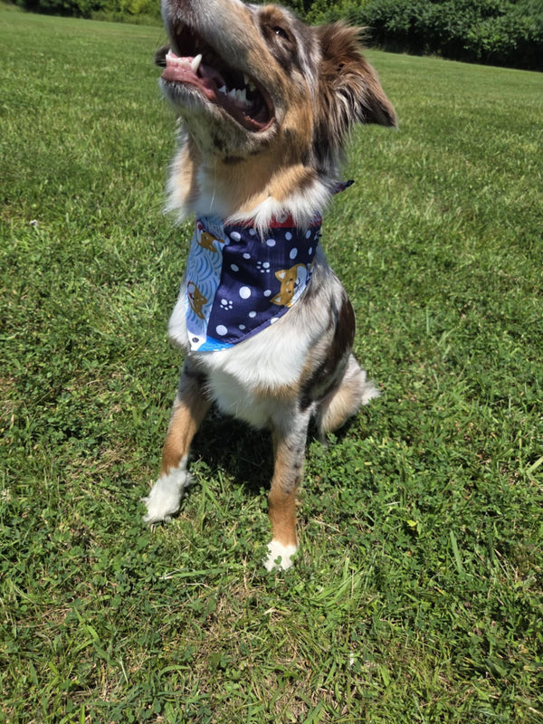 Dockside Dawg - Pawsitively Stylish 🐾