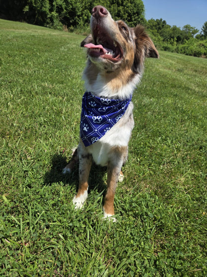 🐾 Dog Bandana – Blue Jean Baby | Pawsitively Stylish