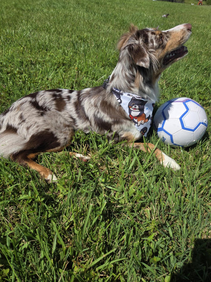 Pup Culture - Pawsitively Stylish 🐾